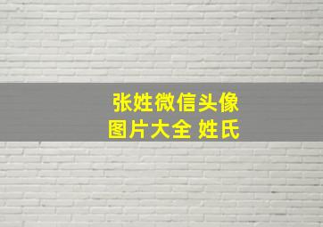 张姓微信头像图片大全 姓氏